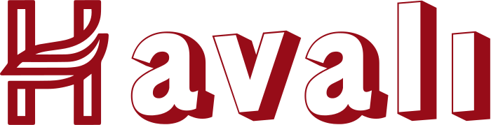 Havalı logo tasarımı