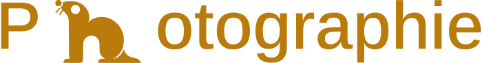 Photographie logo design