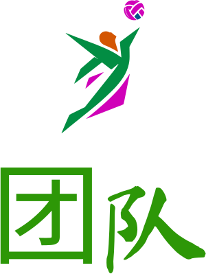 团队 logo design