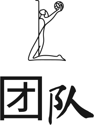 团队 logo design