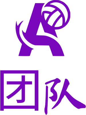 团队 logo design