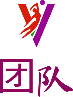 团队 logo design