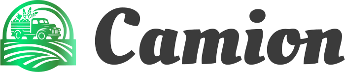 Camion logo design