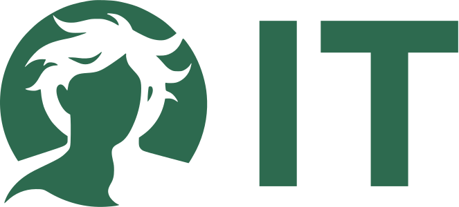 IT logo design