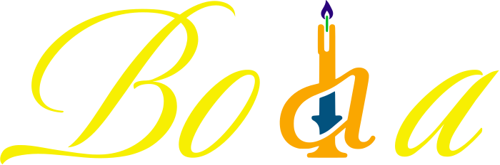 Boda logo design