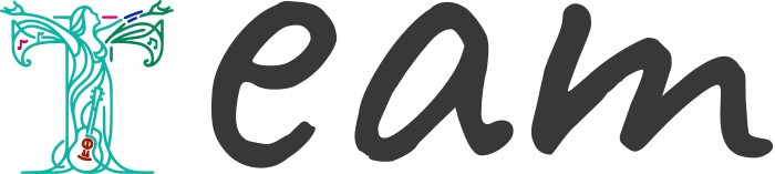 Team logo design