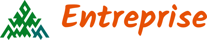 Entreprise logo design