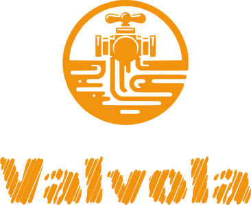 Valvola logo design