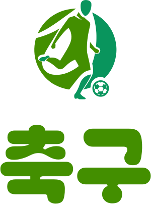 미식축구 로고 디자인