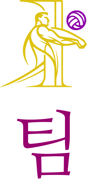 팀 logo design