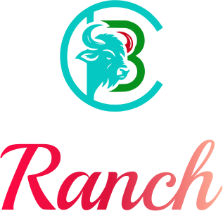 Ranch logo design