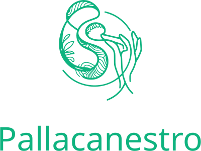 Pallacanestro logo design