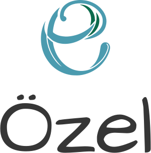 Özel logo tasarımı