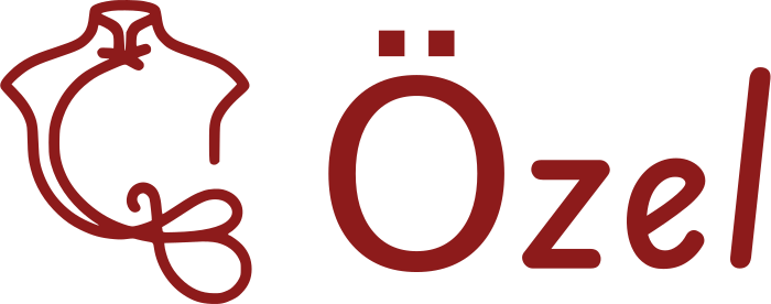Özel logo tasarımı