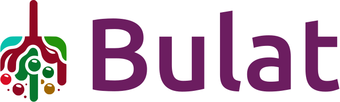 Bulat logo design