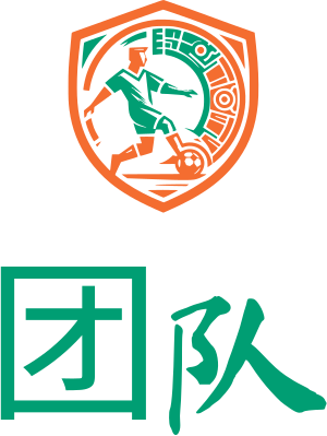 团队 标志设计