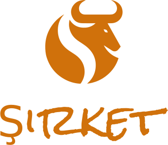 Şirket logo design