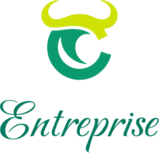Entreprise logo design