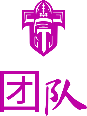 团队 logo design