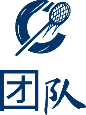 团队 logo design