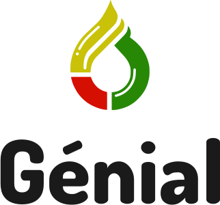 Génial logo design