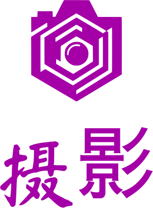 摄影 logo design