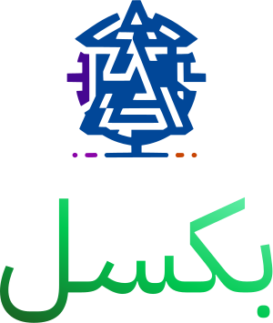 بكسل logo design