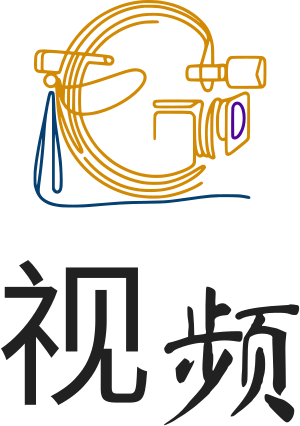 视频 logo design