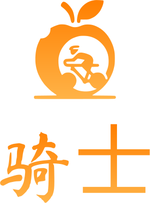 骑士 logo design