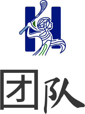 团队 logo design