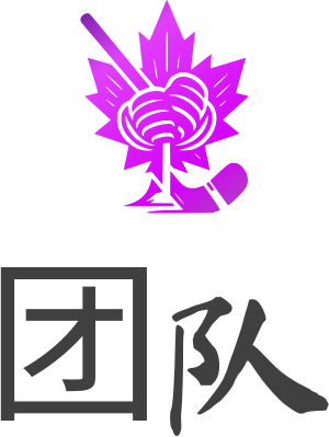 团队 logo design