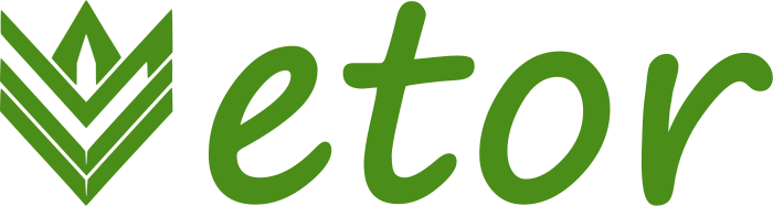 design de logotipo Vetor