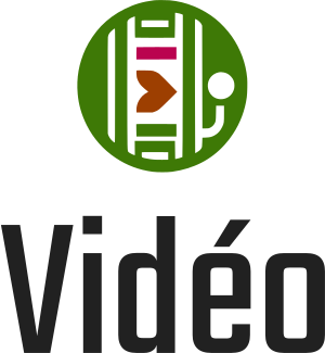Vidéo logo design