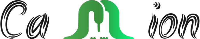 Camion logo design