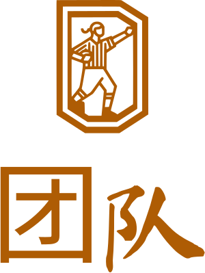 团队 logo design