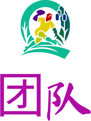 团队 logo design
