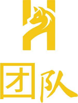 团队 logo design
