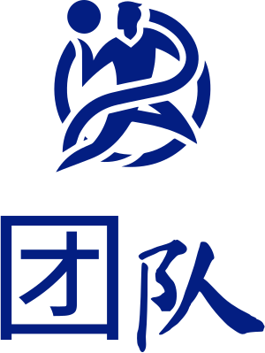 团队 logo design