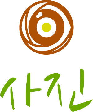 사진 logo design