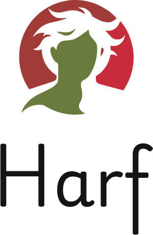 Harf logo tasarımı