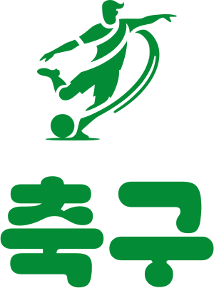 축구 logo design