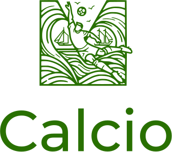 Calcio logo design