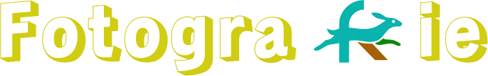 Fotografie logo design