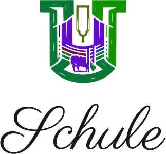 Schule logo design
