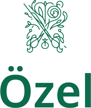 Özel logo tasarımı