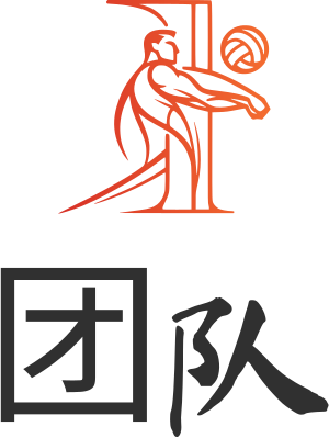 团队 标志设计