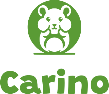 design del logo Carino