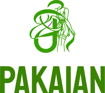 Pakaian logo design
