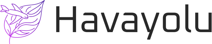 Havayolu logo design