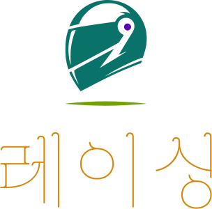 레이싱 logo design